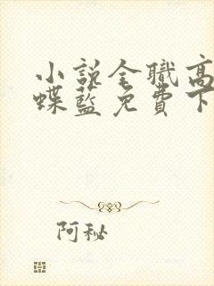 小说全职高手蝴蝶蓝免费下载