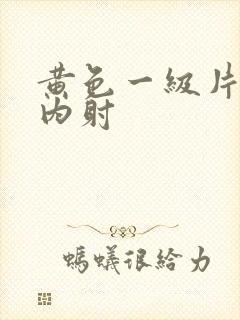 黄色一级片国产内射