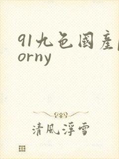 91九色国产porny