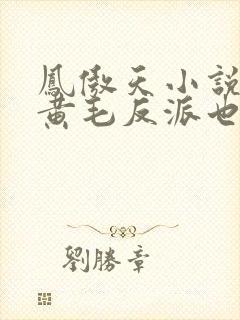 凤傲天小说里的黄毛反派也想幸福 小说封面