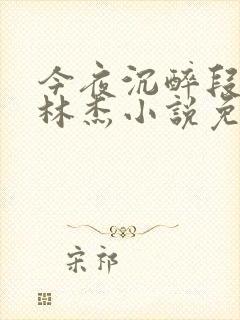 今夜沉醉段雪娇林杰小说免费阅读