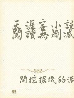 天涯客小说全文阅读无删减