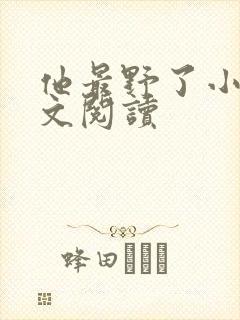 他最野了小说全文阅读