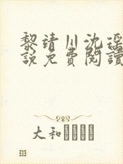 黎靖川沈瑶初小说免费阅读最新章节