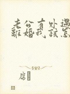 老公有外遇提出离婚我该怎么办封面