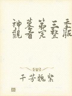 神墓第三季在线观看完整版免费观看