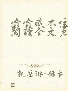 偷偷藏不住在线阅读全文免费