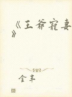 《王爷宠妻无度》