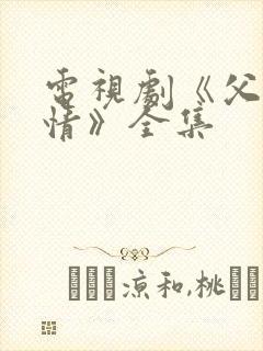 电视剧《父母爱情》全集