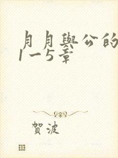月月与公的激情1一5章