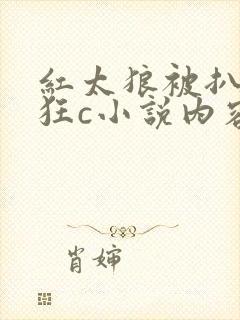 红太狼被扒开腿狂c小说内容
