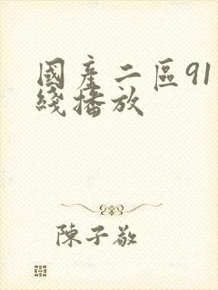 国产二区91在线播放封面