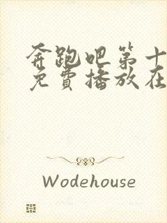 奔跑吧第十二季免费播放在线观看