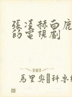 张凌赫白鹿合作的电视剧