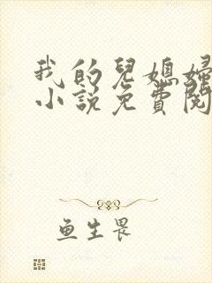 我的儿媳妇秦岚小说免费阅读封面