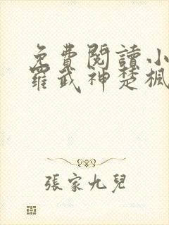 免费阅读小说修罗武神楚枫