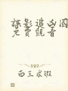 谍影追凶国语版免费观看