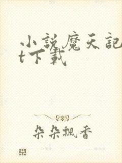 小说魔天记txt下载