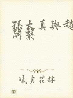 孙太真与赵匡胤关系