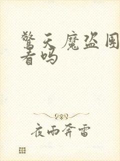 惊天魔盗团3好看吗