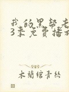 我的黑帮老大第3季免费播放在线观看