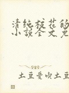 清纯校花的轶事小说全文免费阅读