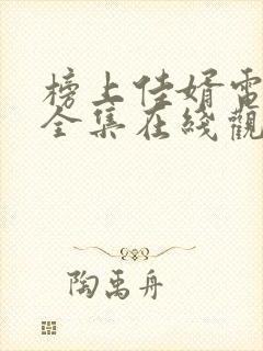 榜上佳婿电视剧全集在线观看免费