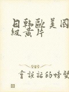 日韩欧美国产一级黄片封面