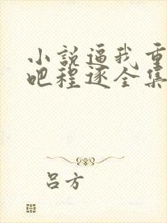 小说逼我重生是吧程逐全集
