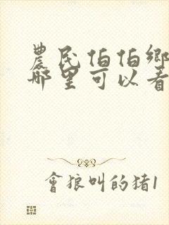 农民伯伯乡下妹哪里可以看