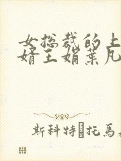 女总裁的上门女婿王娟叶凡