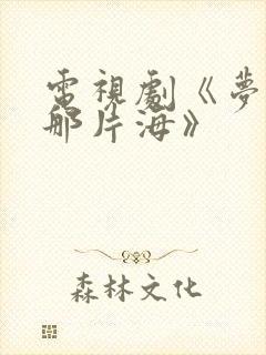 电视剧《梦中的那片海》