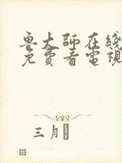 鲁大师在线高清免费看电视剧