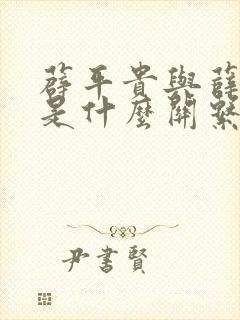 薜平贵与薛丁山是什么关系