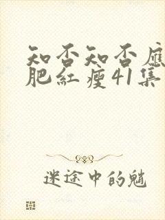 知否知否应是绿肥红瘦41集免费观看