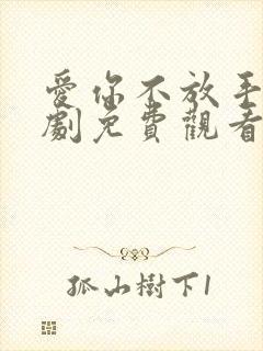 爱你不放手电视剧免费观看全集