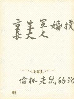 重生军婚扑倒首长大人封面