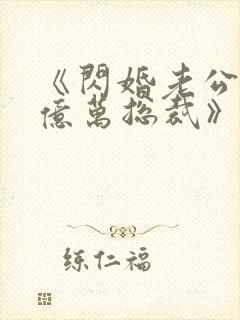 《闪婚老公竟是亿万总裁》小说