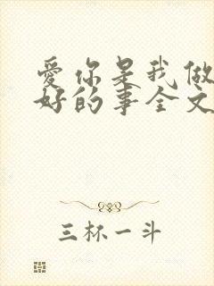 爱你是我做过最好的事全文免费阅读