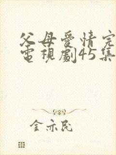 父母爱情完整版电视剧45集