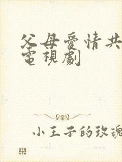 父母爱情共几集电视剧