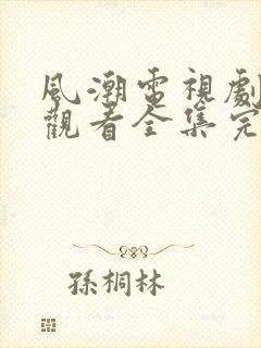 风潮电视剧免费观看全集完整版封面