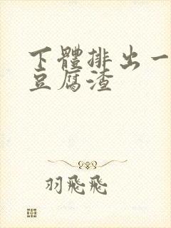 下体排出一坨坨豆腐渣