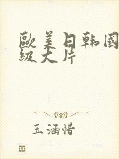 欧美日韩国产一级大片