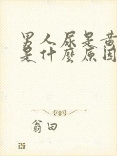 男人尿是黄色的是什么原因