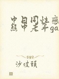 中日同性恋男胖熊中老年gay视频