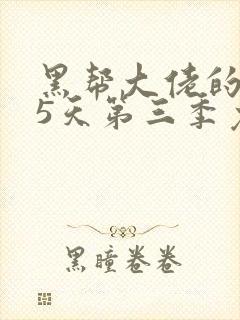 黑帮大佬的365天第三季免费观看全集电影