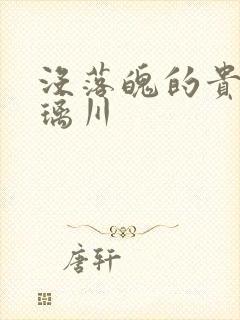 没落魄的贵族琉璃川封面