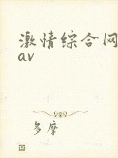 激情综合网亚洲av