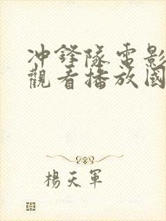 冲锋队电影免费观看播放国语